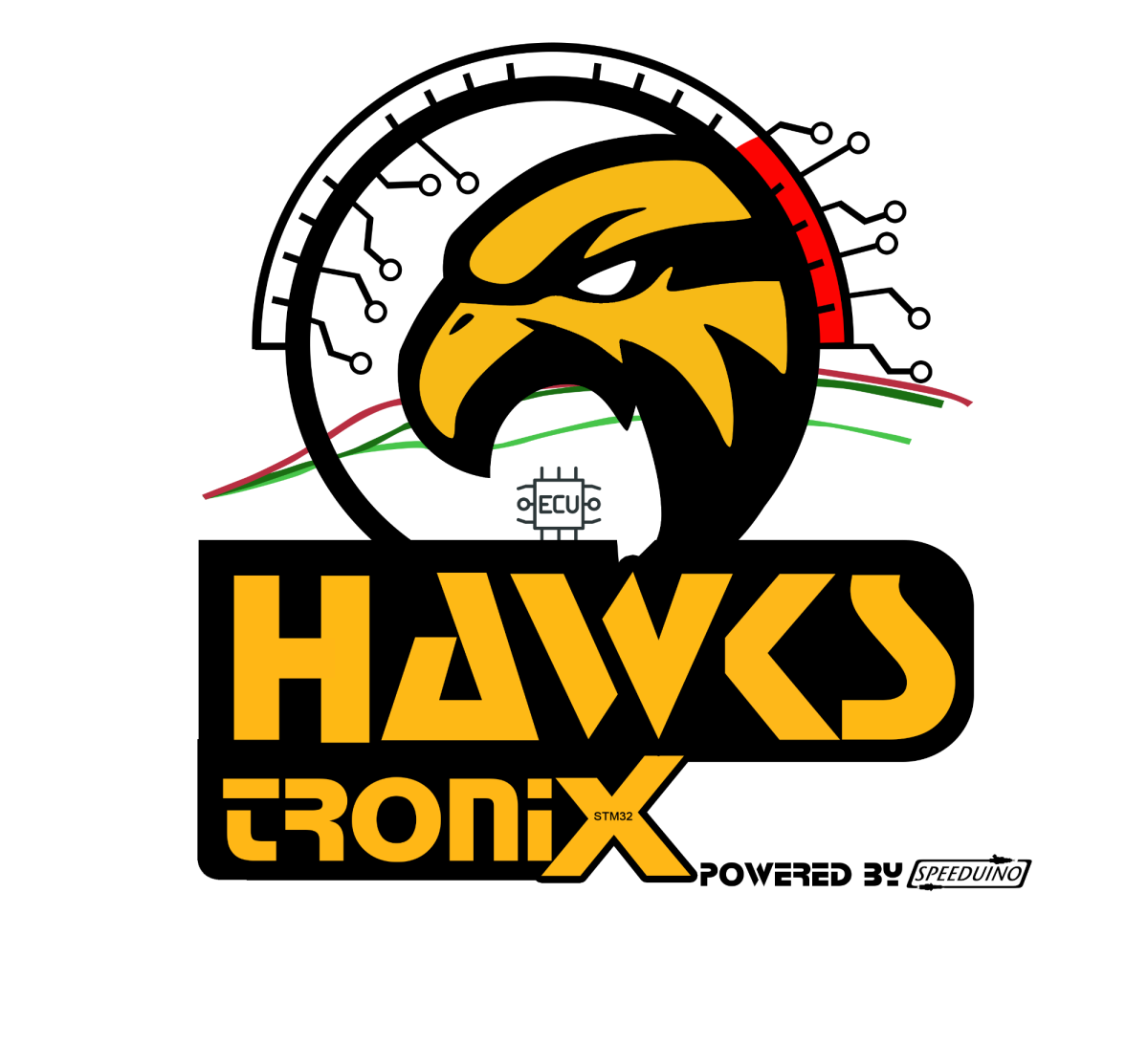Hawkstronix | Custom ECU Hardware, Tuning & Diagnostics